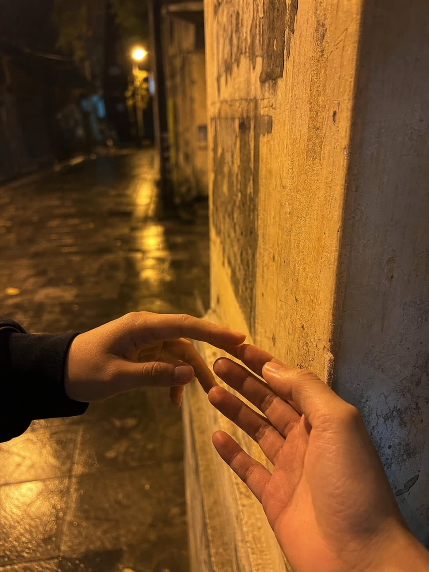 하노이 에코걸 네온 밤거리